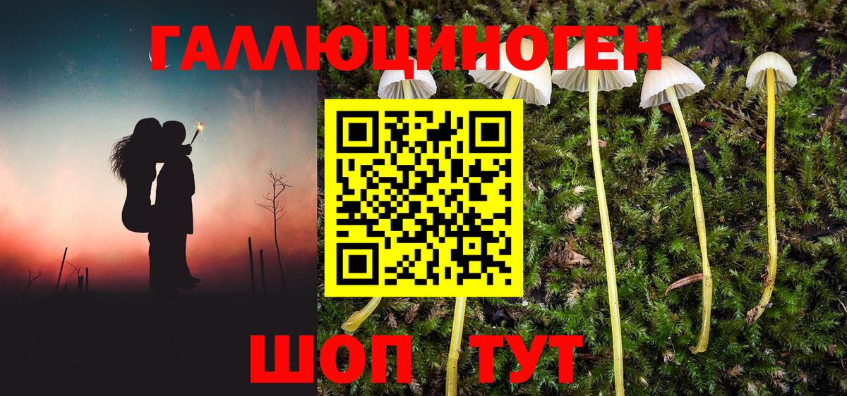 Галлюциногенные грибы Psilocybe  Псилоцибиновые грибы мухоморы  Вход с VPN  Карасук 